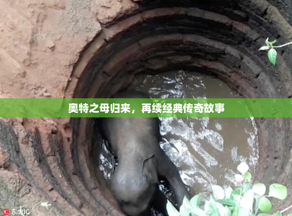 奥特之母归来，再续经典传奇故事