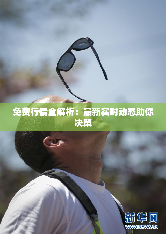 免费行情全解析：最新实时动态助你决策