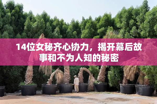 14位女秘齐心协力，揭开幕后故事和不为人知的秘密