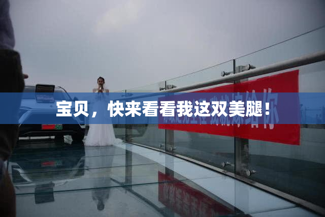宝贝，快来看看我这双美腿！
