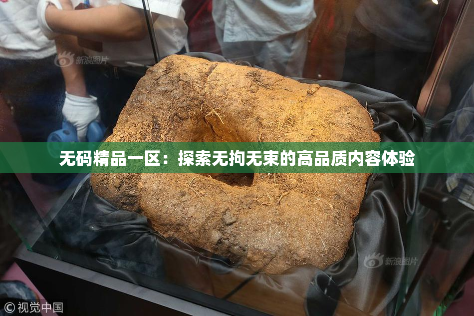 无码精品一区：探索无拘无束的高品质内容体验