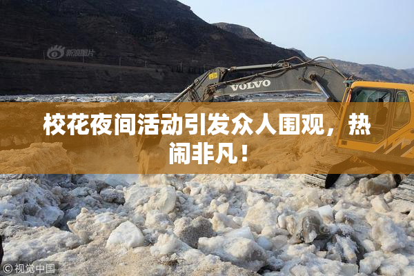 校花夜间活动引发众人围观，热闹非凡！