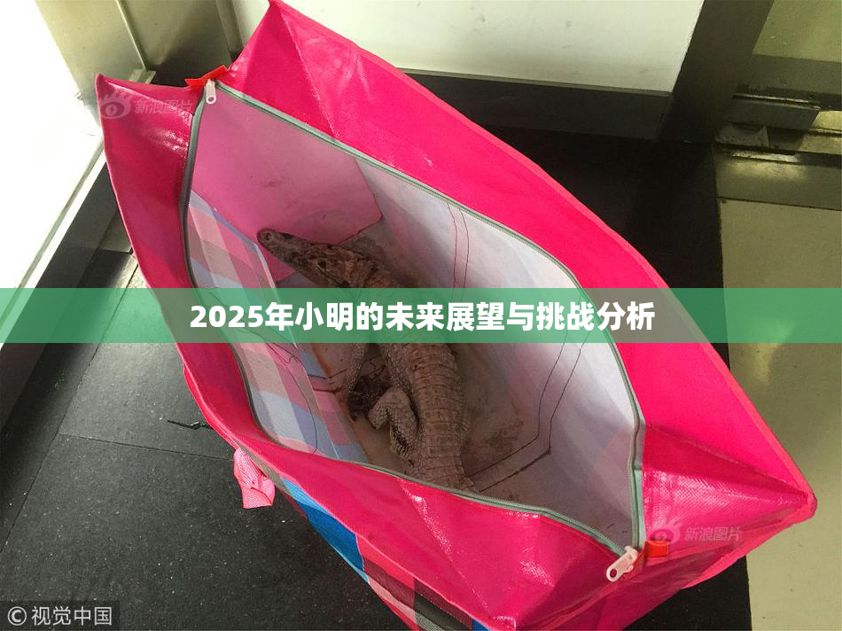 2025年小明的未来展望与挑战分析