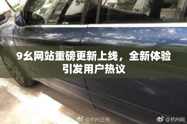 9幺网站重磅更新上线，全新体验引发用户热议