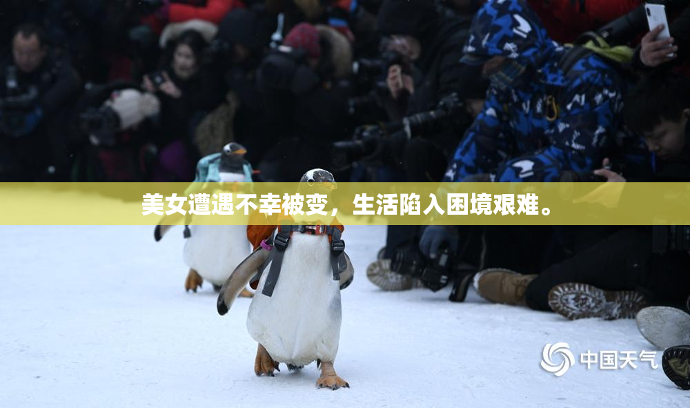 美女遭遇不幸被变，生活陷入困境艰难。
