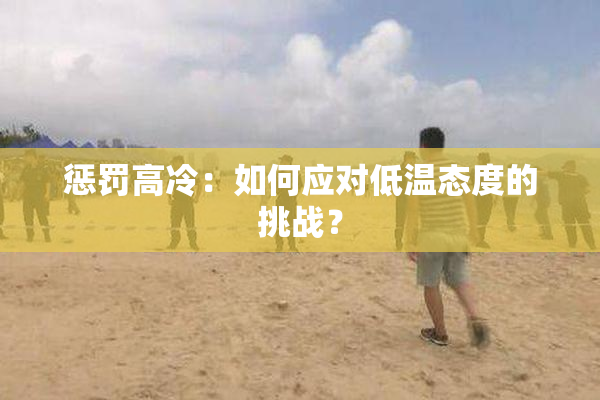 惩罚高冷：如何应对低温态度的挑战？