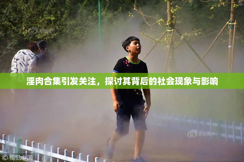 淫肉合集引发关注，探讨其背后的社会现象与影响