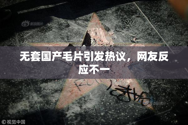 无套国产毛片引发热议，网友反应不一
