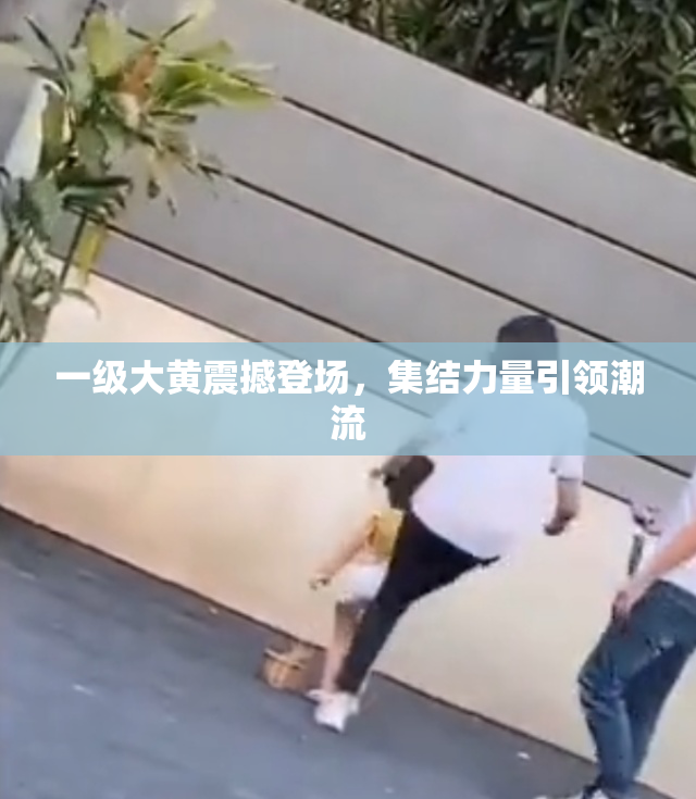 一级大黄震撼登场，集结力量引领潮流