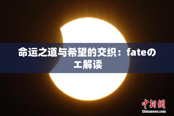 命运之道与希望的交织：fateのエ解读