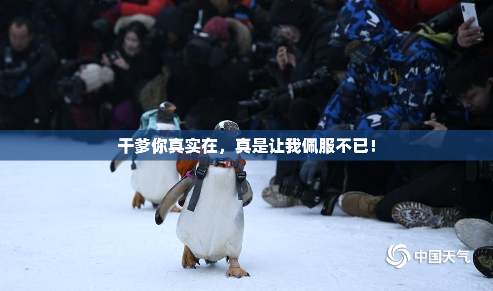 干爹你真实在，真是让我佩服不已！