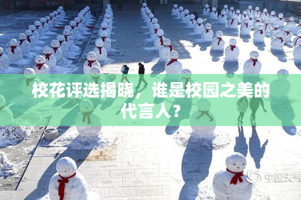 校花评选揭晓，谁是校园之美的代言人？