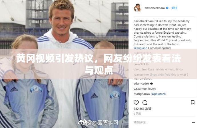 黄冈视频引发热议，网友纷纷发表看法与观点