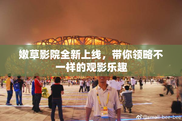 嫩草影院全新上线，带你领略不一样的观影乐趣