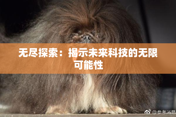 无尽探索：揭示未来科技的无限可能性
