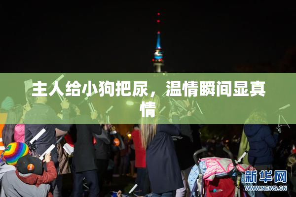主人给小狗把尿，温情瞬间显真情
