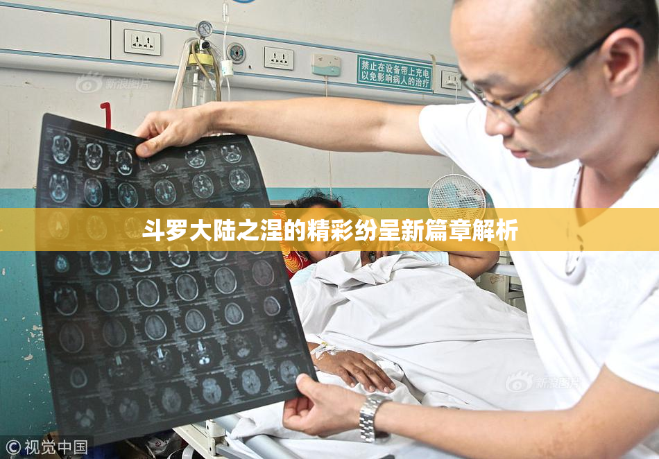 斗罗大陆之涅的精彩纷呈新篇章解析