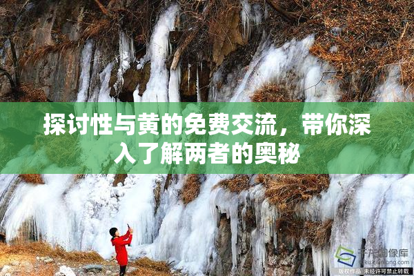 探讨性与黄的免费交流，带你深入了解两者的奥秘