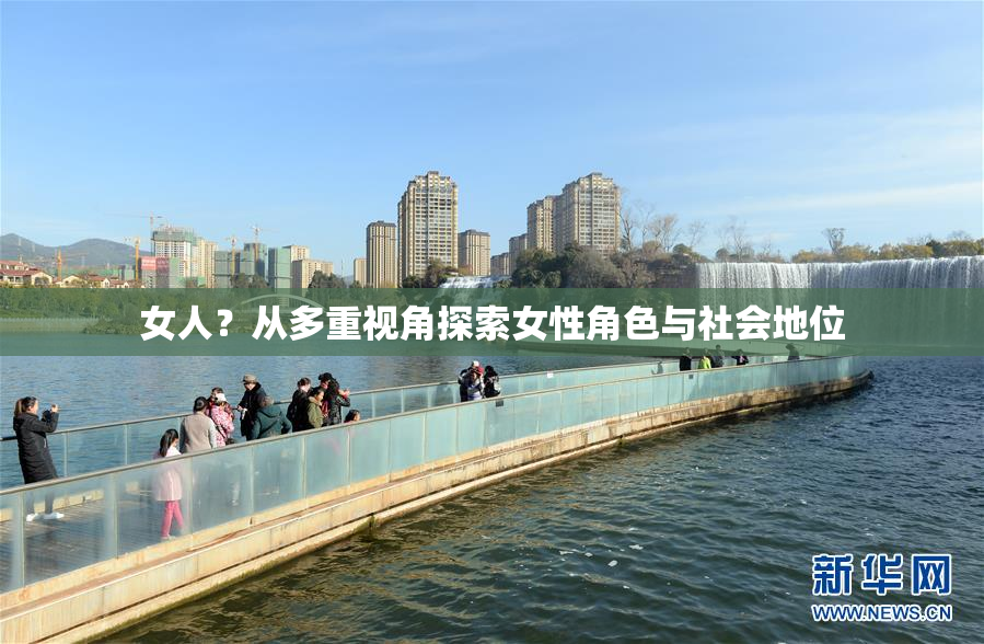女人？从多重视角探索女性角色与社会地位