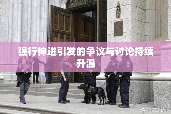 强行伸进引发的争议与讨论持续升温