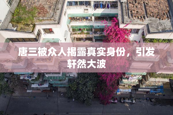 唐三被众人揭露真实身份，引发轩然大波