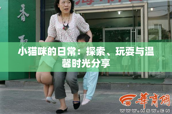 小猫咪的日常：探索、玩耍与温馨时光分享