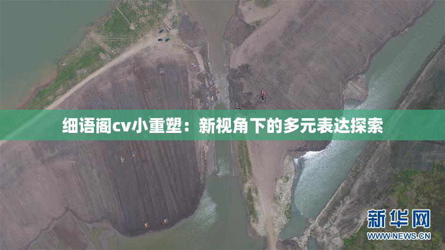 细语阁cv小重塑：新视角下的多元表达探索