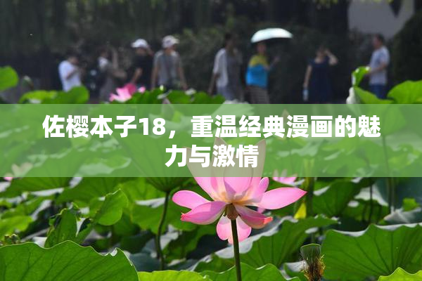 佐樱本子18，重温经典漫画的魅力与激情
