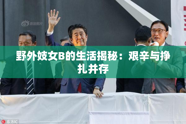野外妓女B的生活揭秘：艰辛与挣扎并存