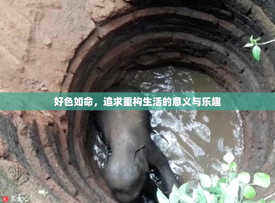 好色如命，追求重构生活的意义与乐趣