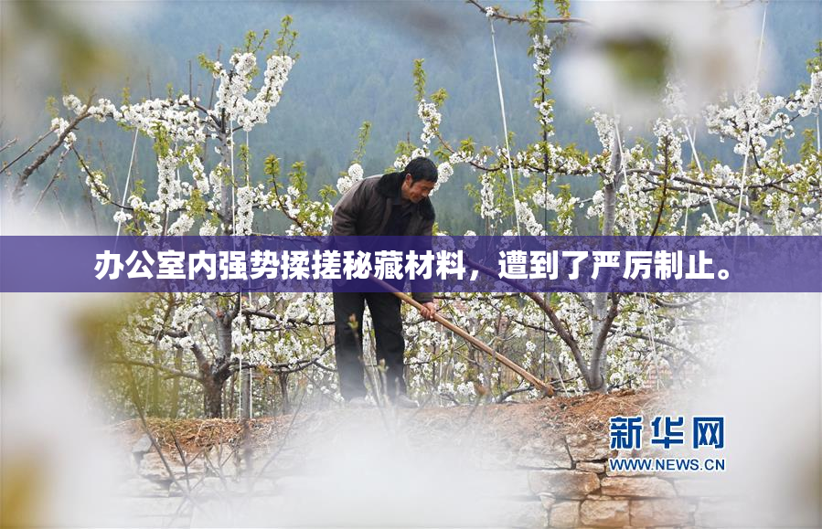 办公室内强势揉搓秘藏材料，遭到了严厉制止。