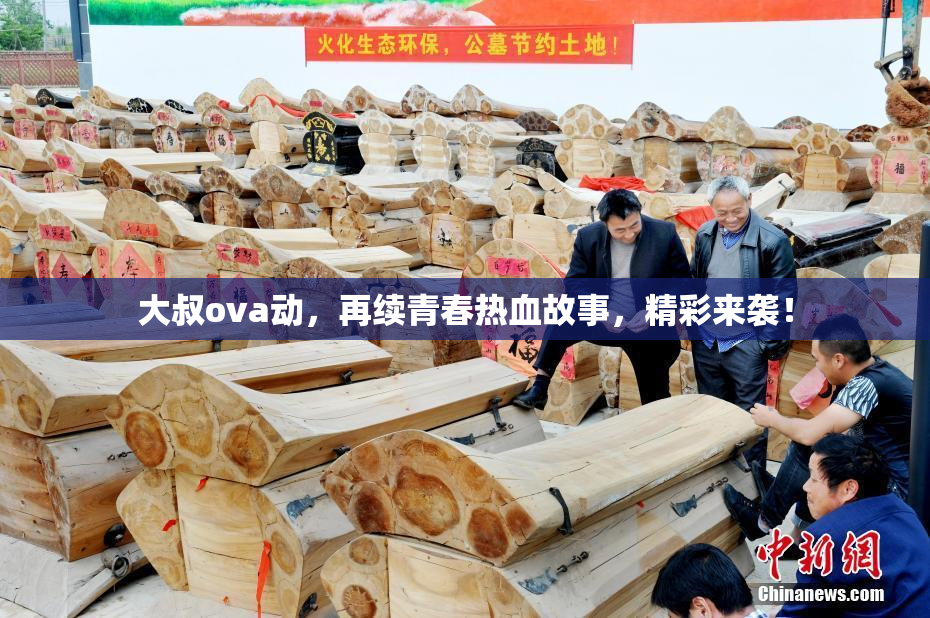 大叔ova动，再续青春热血故事，精彩来袭！