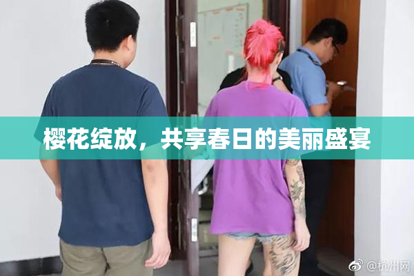 樱花绽放，共享春日的美丽盛宴