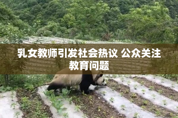 乳女教师引发社会热议 公众关注教育问题