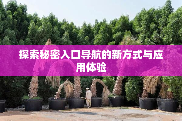 探索秘密入口导航的新方式与应用体验