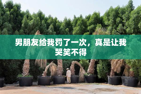 男朋友给我罚了一次，真是让我哭笑不得