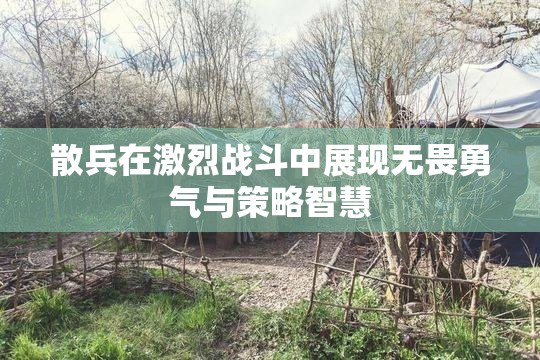 散兵在激烈战斗中展现无畏勇气与策略智慧