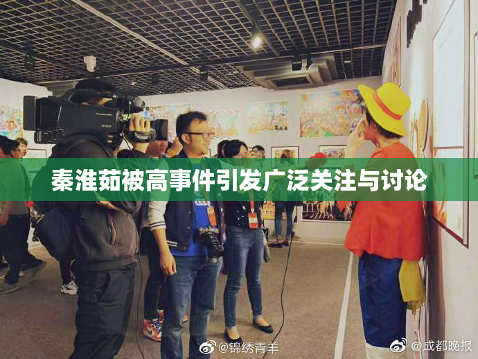 秦淮茹被高事件引发广泛关注与讨论
