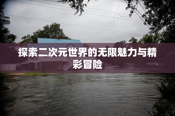 探索二次元世界的无限魅力与精彩冒险