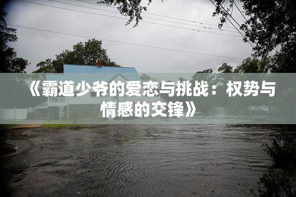 《霸道少爷的爱恋与挑战：权势与情感的交锋》