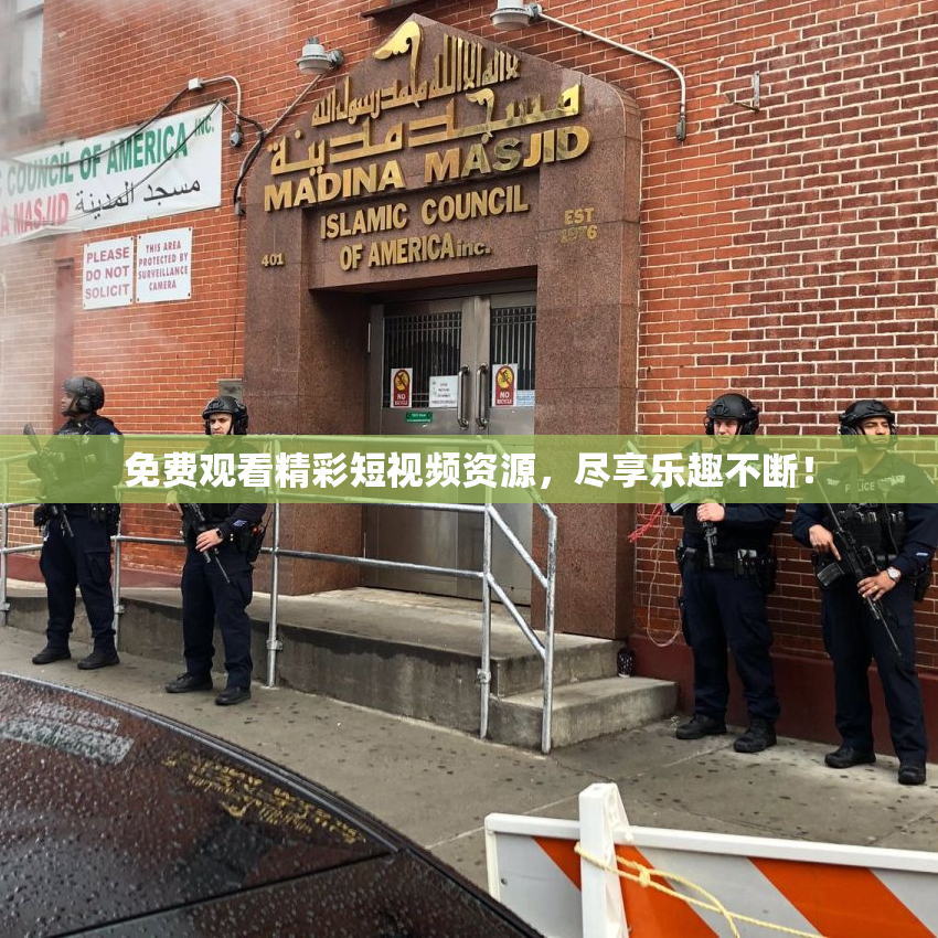 免费观看精彩短视频资源，尽享乐趣不断！