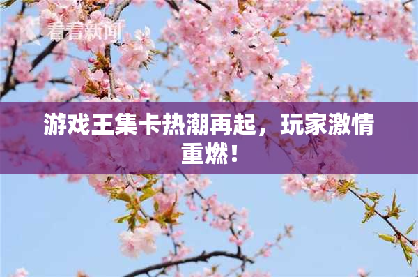游戏王集卡热潮再起，玩家激情重燃！