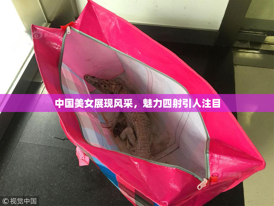 中国美女展现风采，魅力四射引人注目