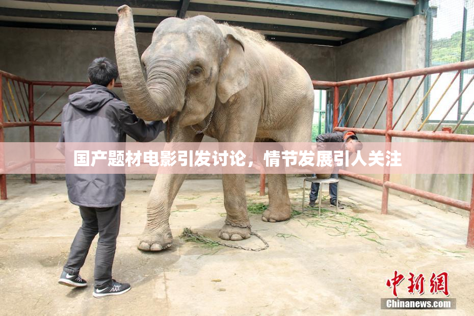 国产题材电影引发讨论，情节发展引人关注