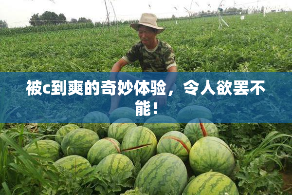 被c到爽的奇妙体验，令人欲罢不能！