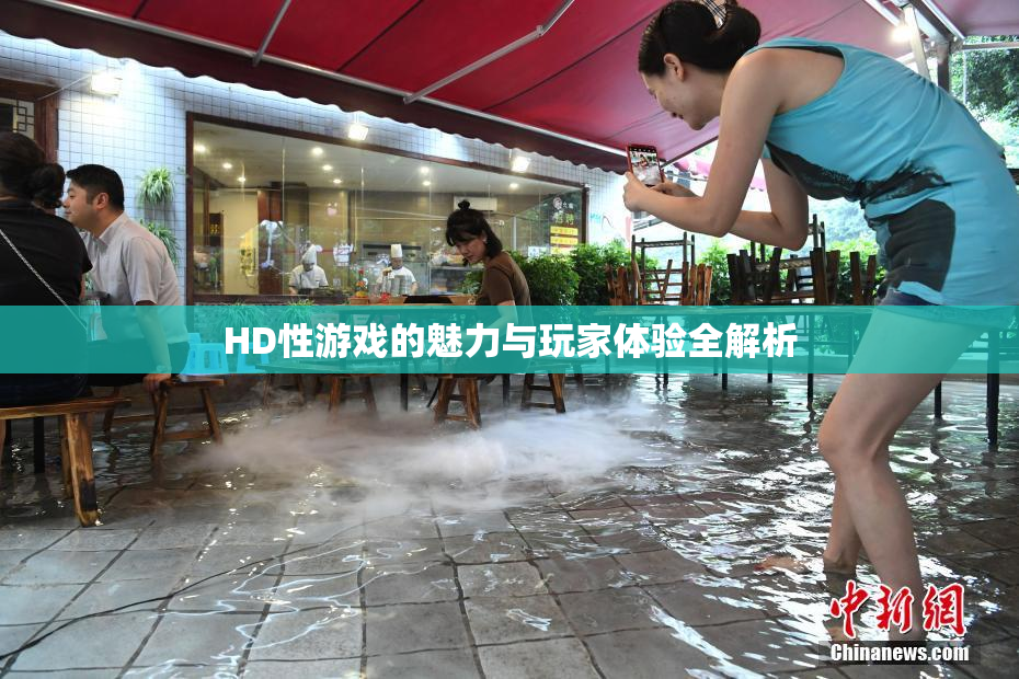 HD性游戏的魅力与玩家体验全解析