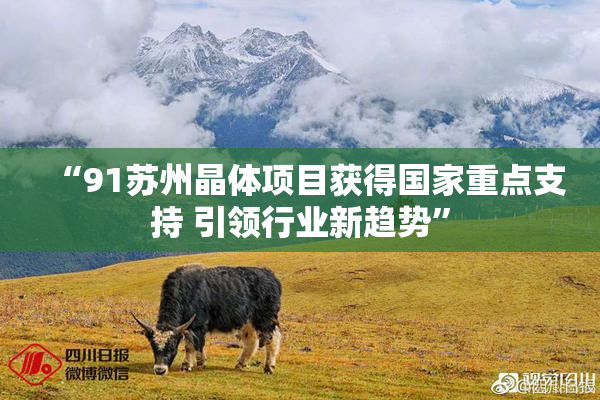 “91苏州晶体项目获得国家重点支持 引领行业新趋势”