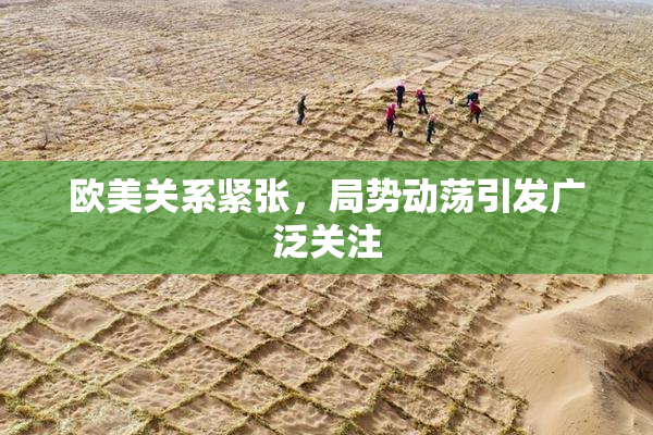 欧美关系紧张，局势动荡引发广泛关注