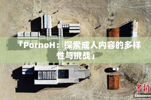 「PornoH：探索成人内容的多样性与挑战」