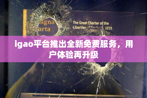 igao平台推出全新免费服务，用户体验再升级